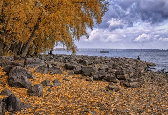 42399291_2113048339009079_3009860566471671808_n