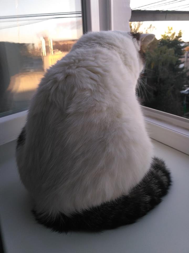 43042939_1120712661427469_1323003918925430784_n