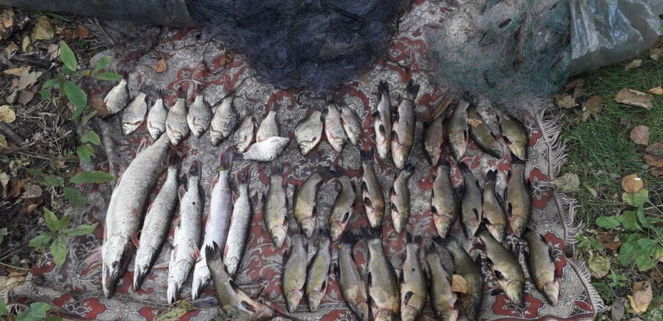 photo_2019-09-13_12-59-22