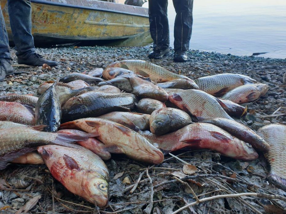 photo_2019-09-06_11-32-42