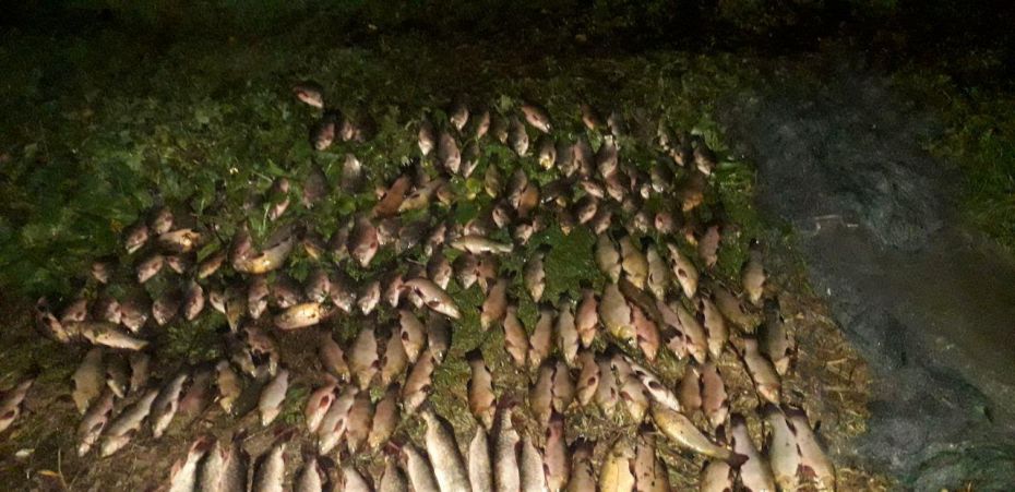 photo_2019-10-02_08-30-50