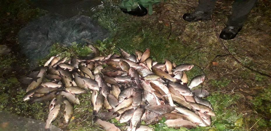 photo_2019-10-02_08-29-20