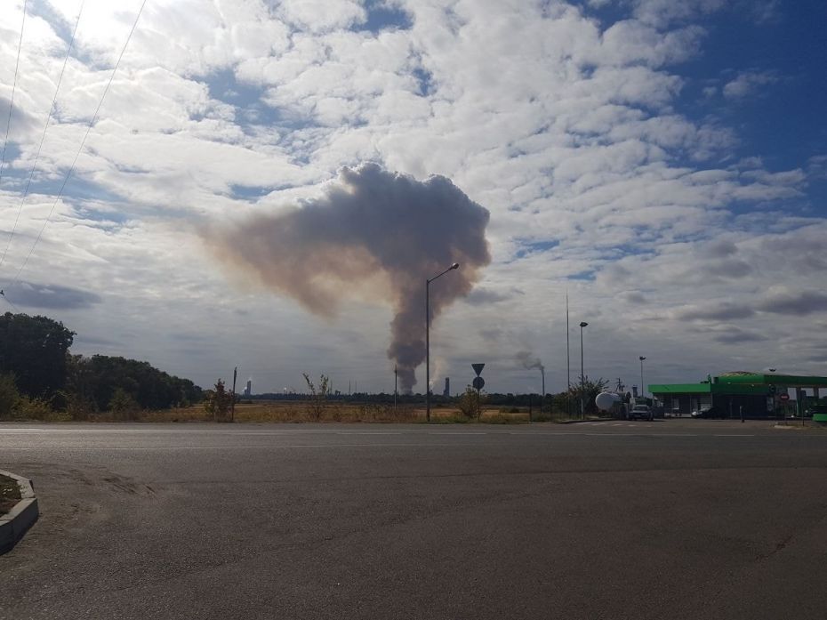 71276511_1311249062377046_581408421484429312_n