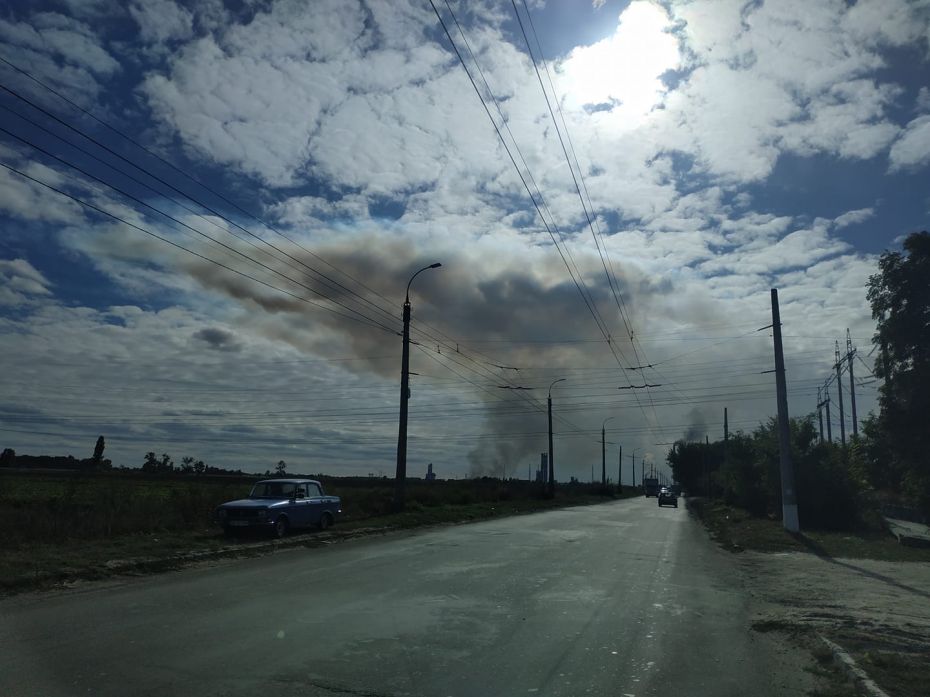 71065991_2289681531297904_2677839412439547904_o