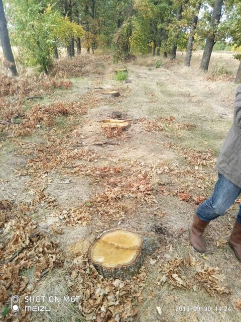 71499622_1129598020569411_6656374249877405696_n