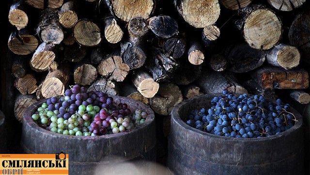 71051940_502038587264171_6793553147374600192_n