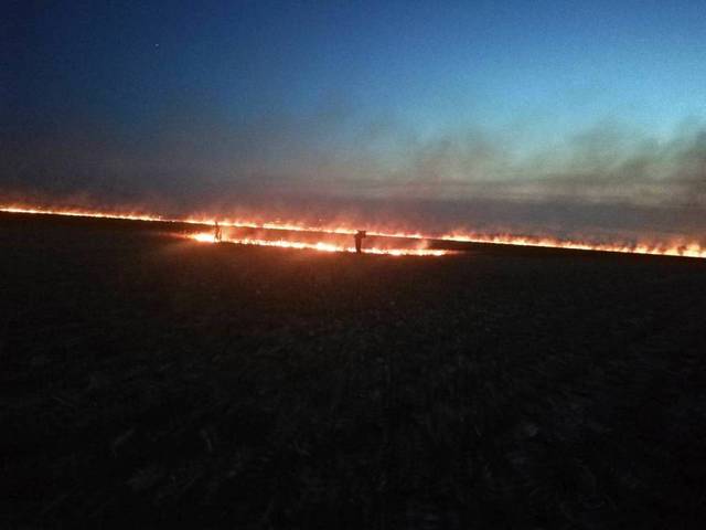 IMG-007043544440221d4487b4c4274a8e33-V