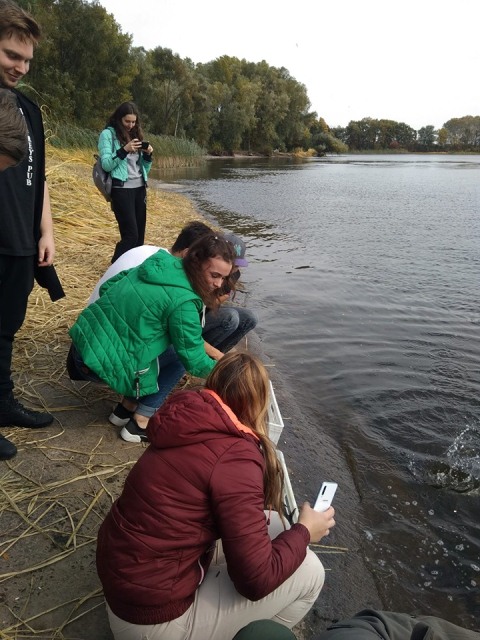 71188967_2247683898855600_2293955020774703104_n