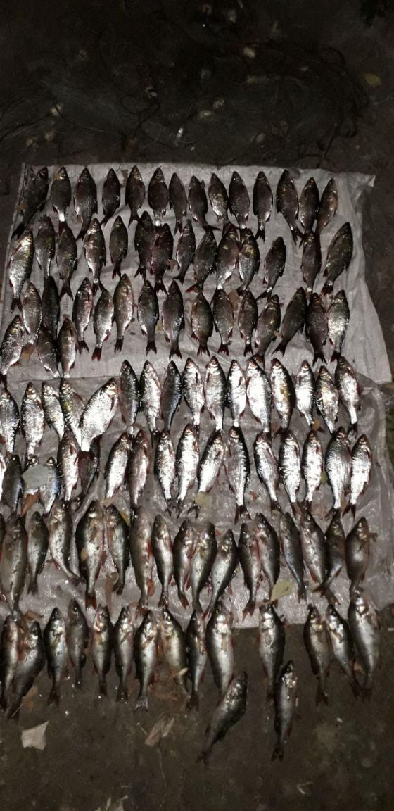 photo_2019-09-19_10-33-46