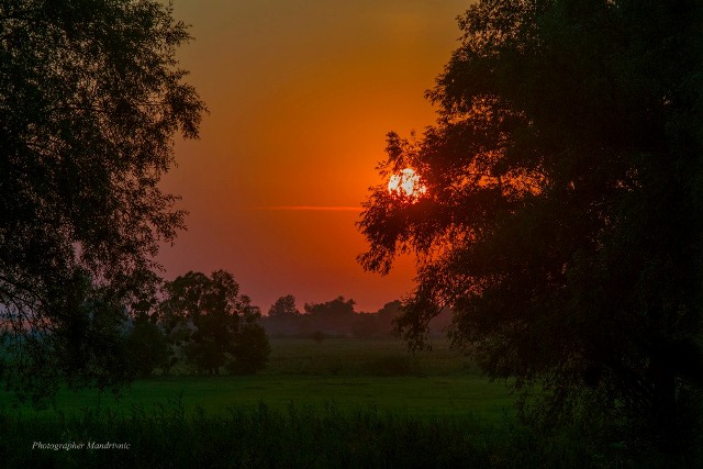 71498980_1319029541599394_31165068678791168_o