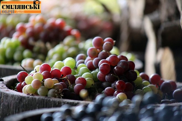 71515171_502038457264184_980680925056598016_n