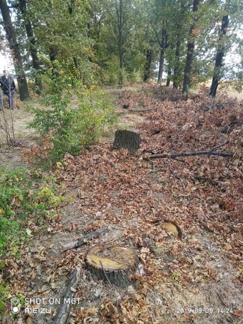 71689585_1129598100569403_1834787149560414208_n