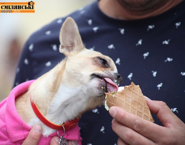 70985405_495592274575469_5003733416345075712_n