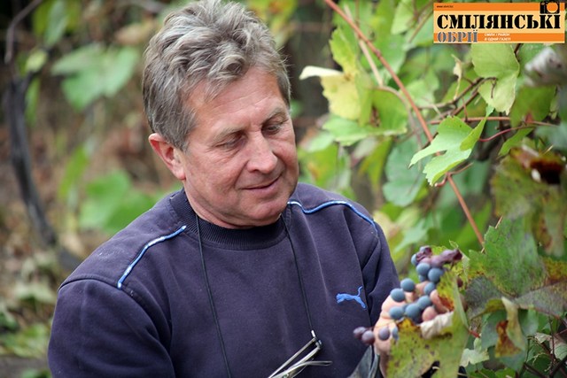 70785512_502038463930850_5282374887166443520_n