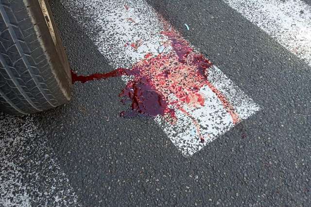 70176243_3064950403577583_26656555608834048_n