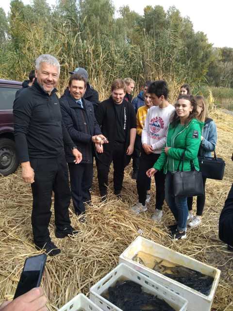 72274617_2247682465522410_6618771514848182272_n