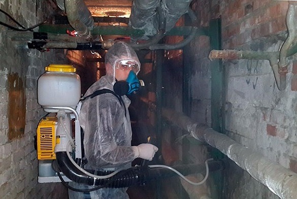 71087935_830784000651705_8078076311106486272_n