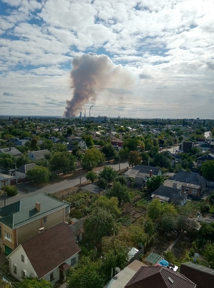 71265848_1337129819779512_2576794298141900800_n