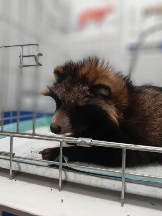 6929680224788744055152501370380745389899776n