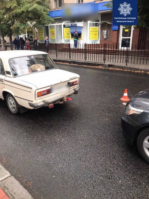 70913620_2419052184839510_4224902291909509120_n