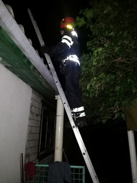 71529376_2538433279713671_347377083749498880_n