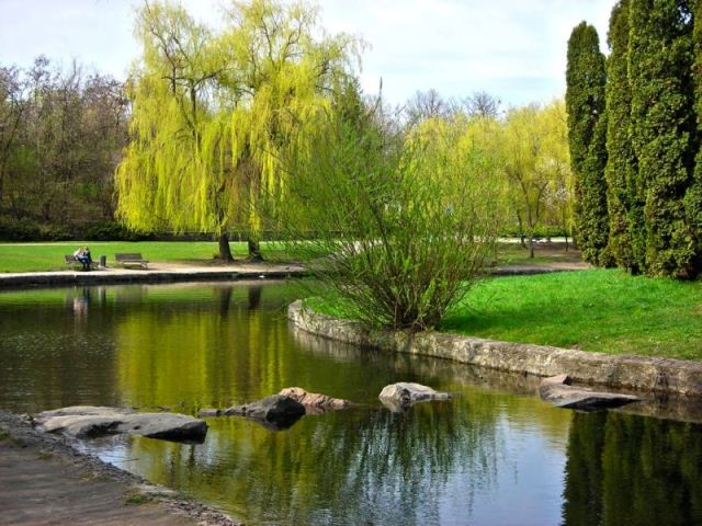 71495686_2341818165865322_1251290656710590464_n