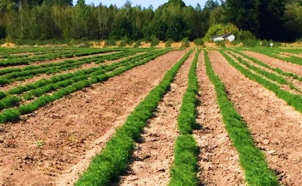 viber_image_2019-09-10_11-50-56-–-копія-e1569315415906