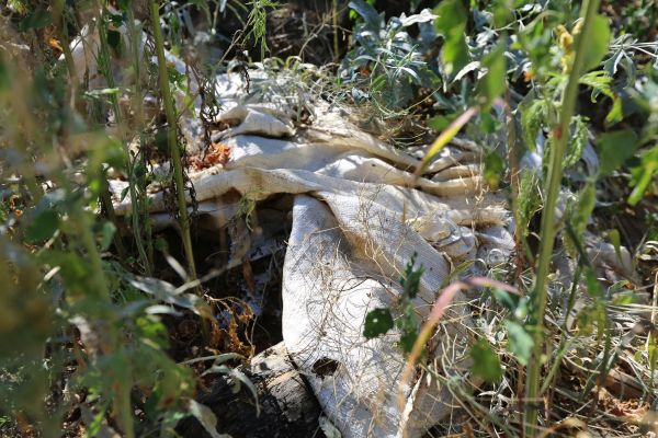 119078199_761960757713094_3250464561082585865_o