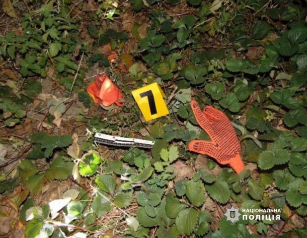 120075630_962972317521635_5033642955643930628_o