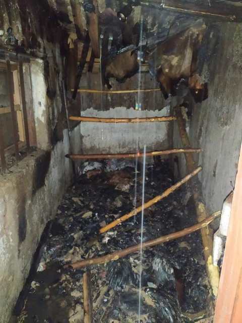 119474529_2682483168672151_1003689041029378149_n