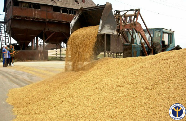 З початку фото