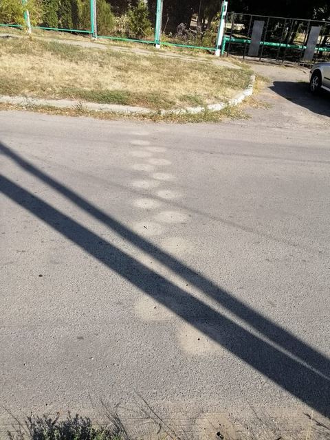 120041550_1660868274072868_6685889286769978212_n — копия