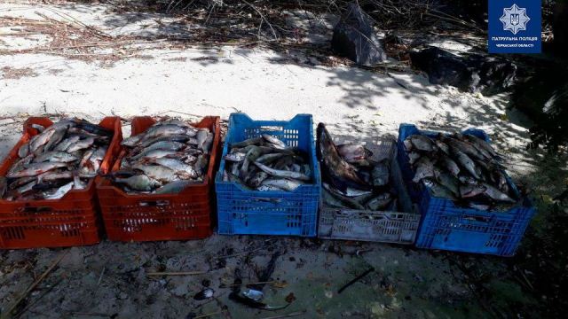 118765980_3230788500332537_6641885187741959659_o