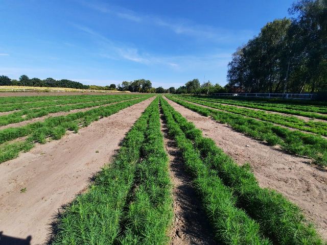 d73be0e0-d3ca-4b80-97a4-6bdae0339165