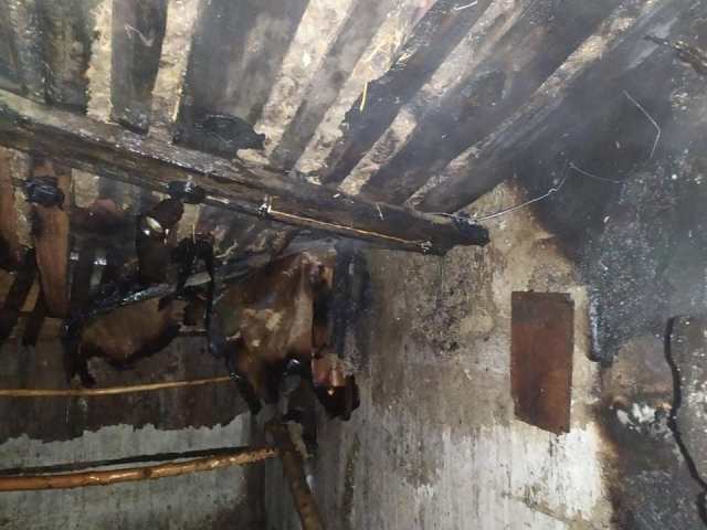 119484007_2682483228672145_8634764550336971902_n