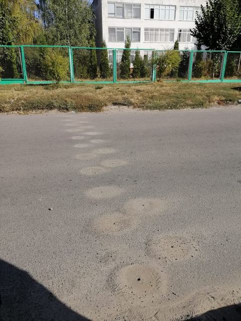 120041553_1660868117406217_8273154879096961690_n — копия