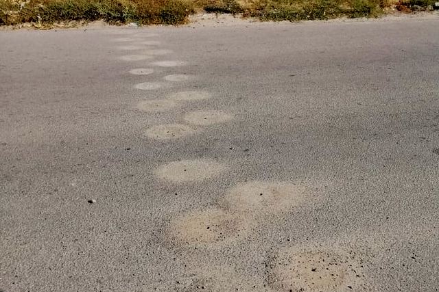 Леж пол — копия