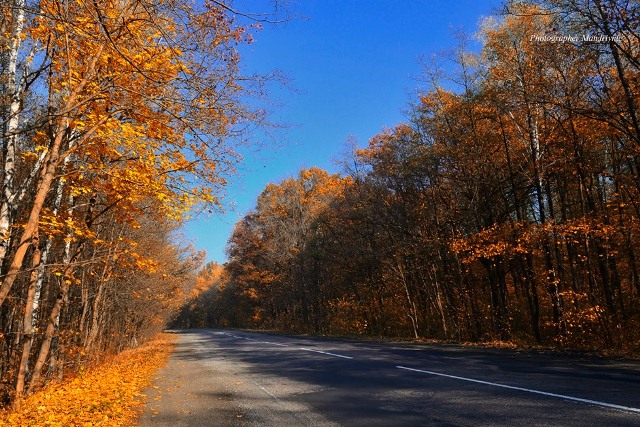 119732595_1641553086013703_5792862771315544012_o