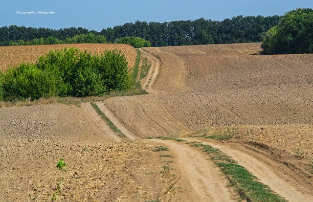 119059861_1634060833429595_1382818045900443095_o