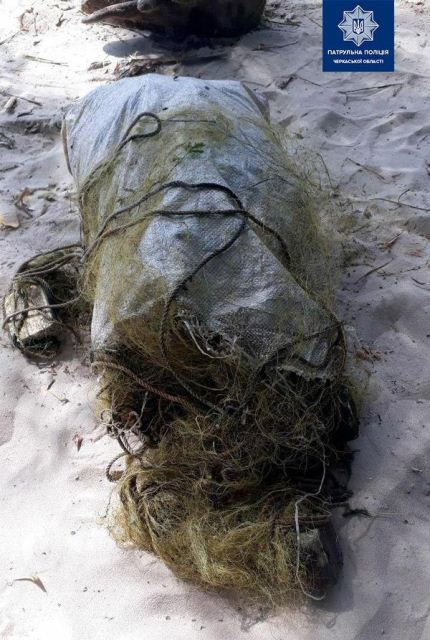 118768594_3230788883665832_6251317672866007825_o