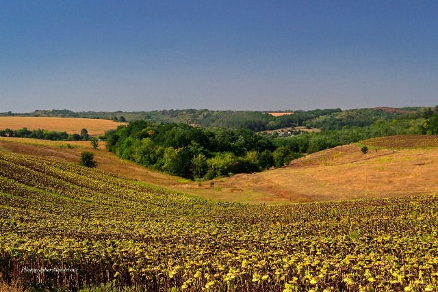 119039160_1632168710285474_2215233080705100469_o