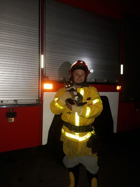 120107570_3366294983407119_7856158892421804476_o