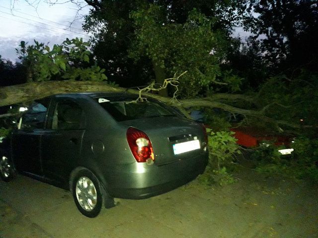 119056895_2850992158457780_8438985730645685151_o