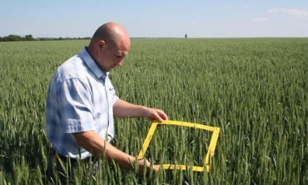 unnamed-e1599726474719