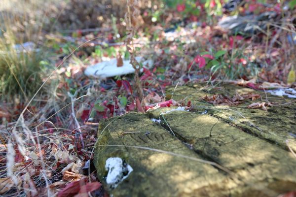 119070535_761960611046442_2307009542426019018_o