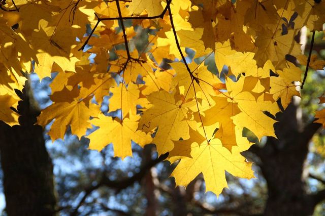 120169211_2679859485661292_4217734298350285638_n