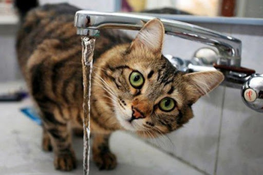 118741106_2761472850795259_8828699315970309330_n