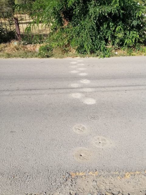 120064182_1660868147406214_1758705063462423712_n