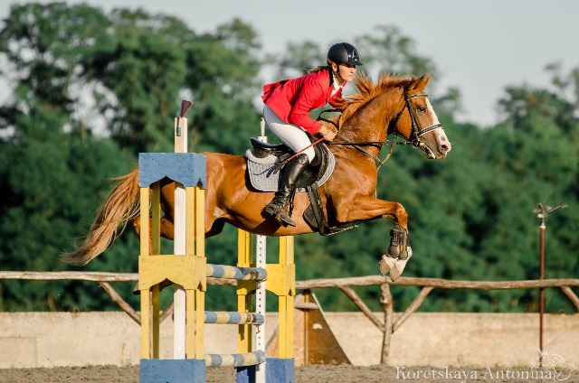 82911116-0f16-4f10-b7dc-93b73e0c8e4c