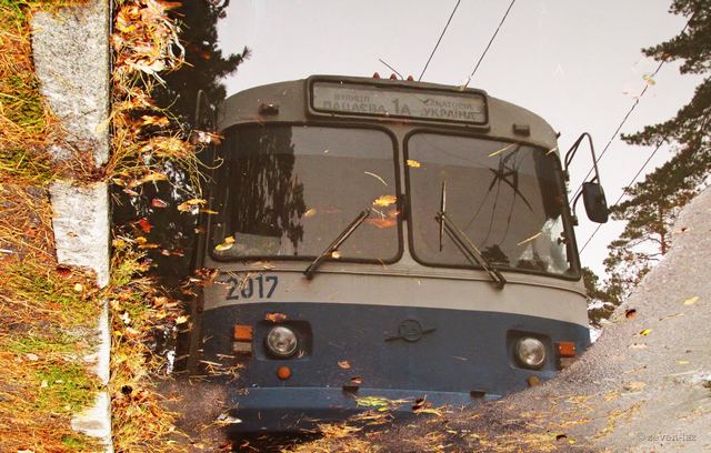 119894759_1297725430573375_8680187358739980039_o